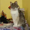 Отзыв от Юлия Булатова